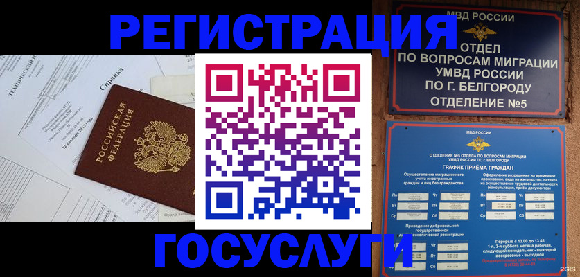 временная прописка в Шумихе